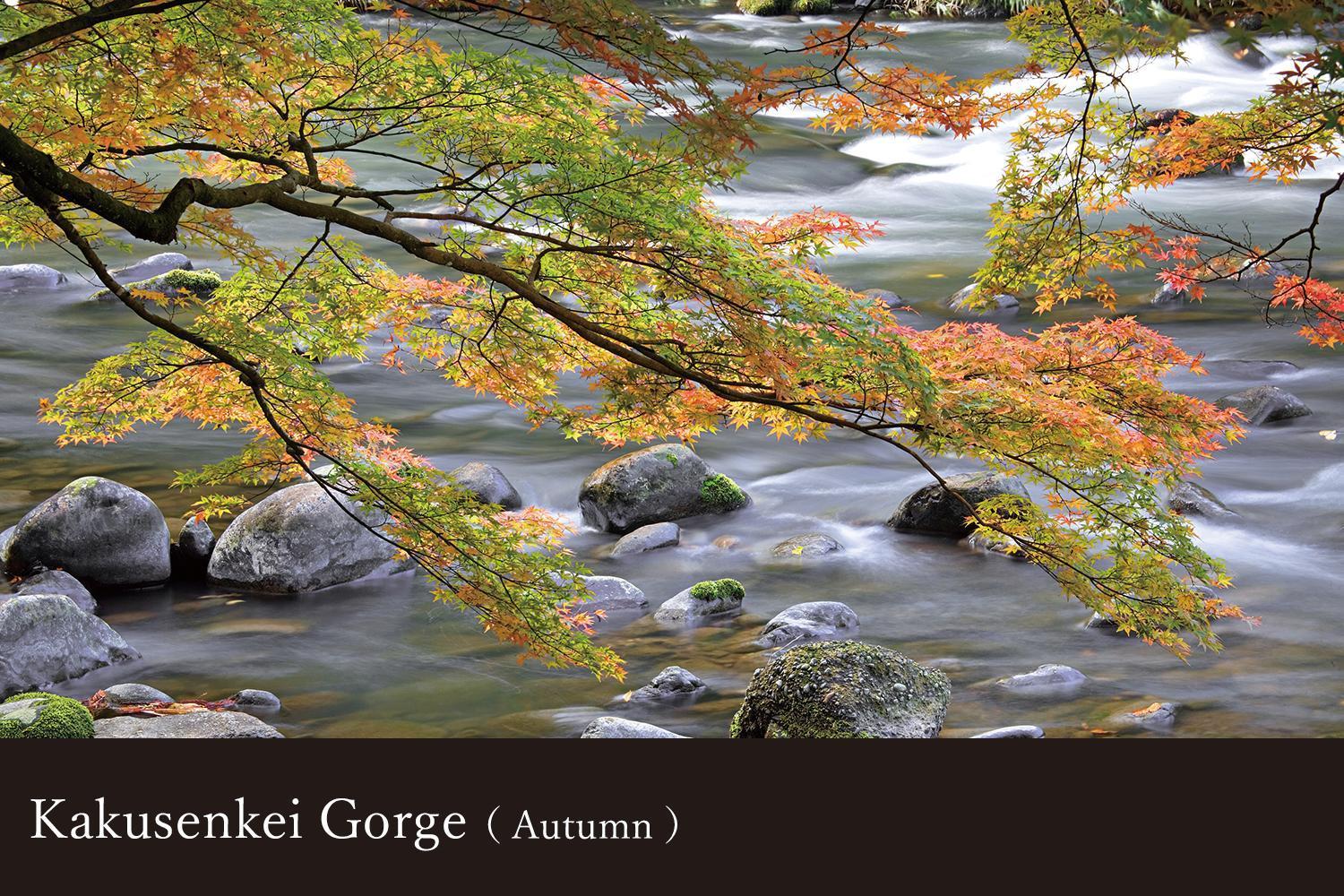 Отель Yamanaka Onsen Kissho Yamanaka Кага Экстерьер фото